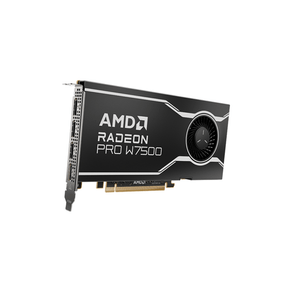 Tarjeta Gráfica AMD Radeon Pro W7500 GDDR6 8GB 100-300000078