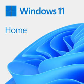WINDOWS HOME 11 32/64BIT ESP PKC HAJ-00102