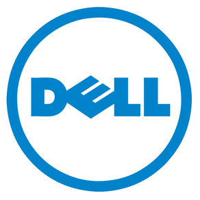 SNS only-Dell Mem Upg-16 GB-8Rx4 DDR5 AD107063